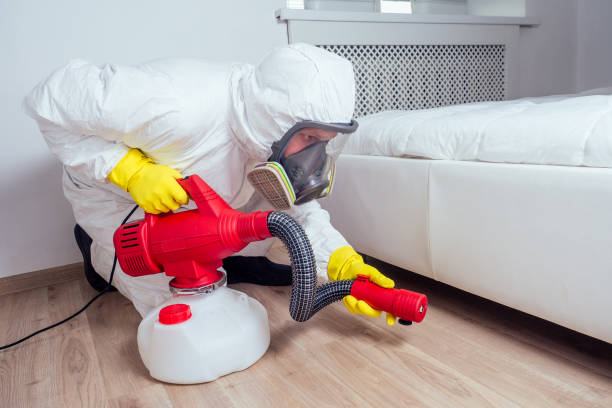 Best Best Pest Control Companies  in Maricopa, AZ
