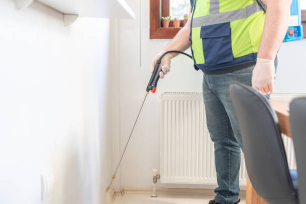Best Pest Control Near Me in Maricopa, AZ