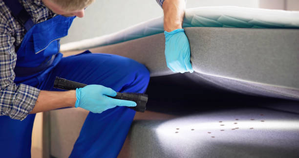 Best Pest Control for Businesses  in Maricopa, AZ
