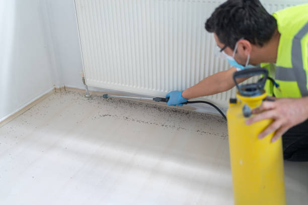 Best Wildlife Control Services  in Maricopa, AZ